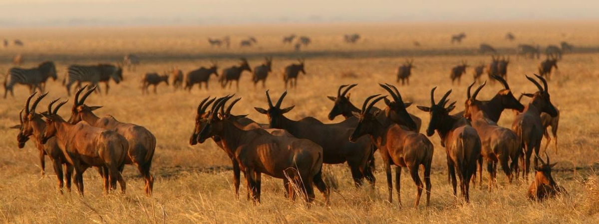 Weather and Climate of Katavi National Park