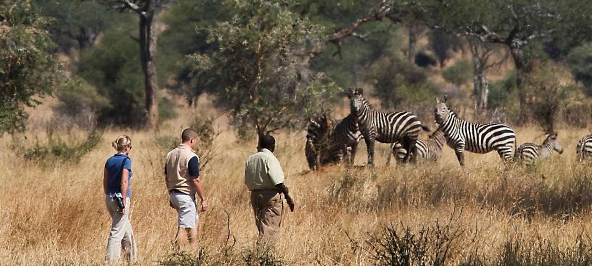 Serengeti National Park Tanzania National Parks Tanzania Tours 8409