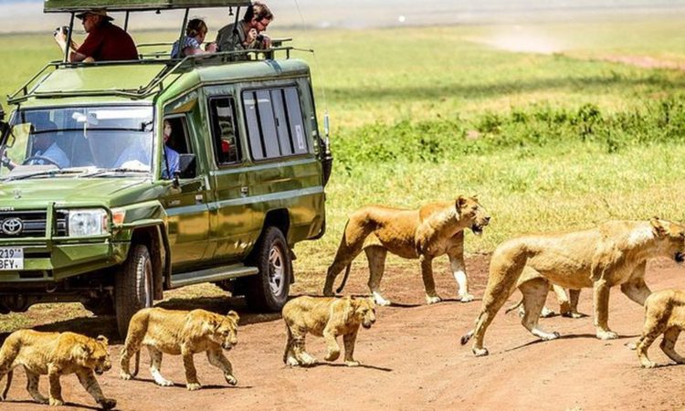 Tourism Activities at Ngorongoro Conservation Area