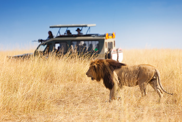 Guide on how to Book a Safari in Tanzania