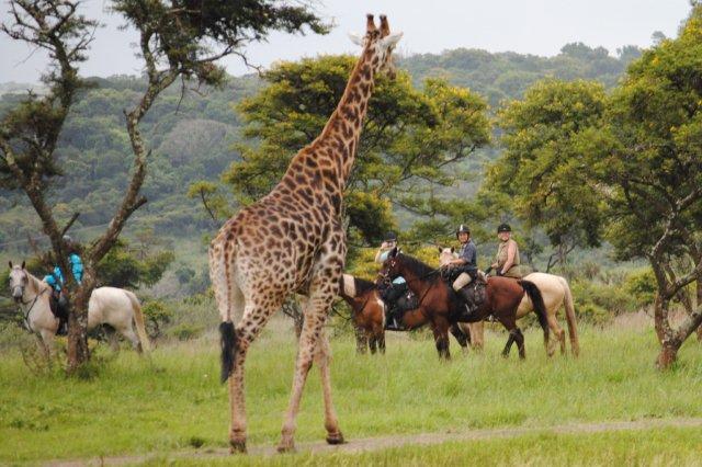 Exploring Uganda Most Isolated National Park