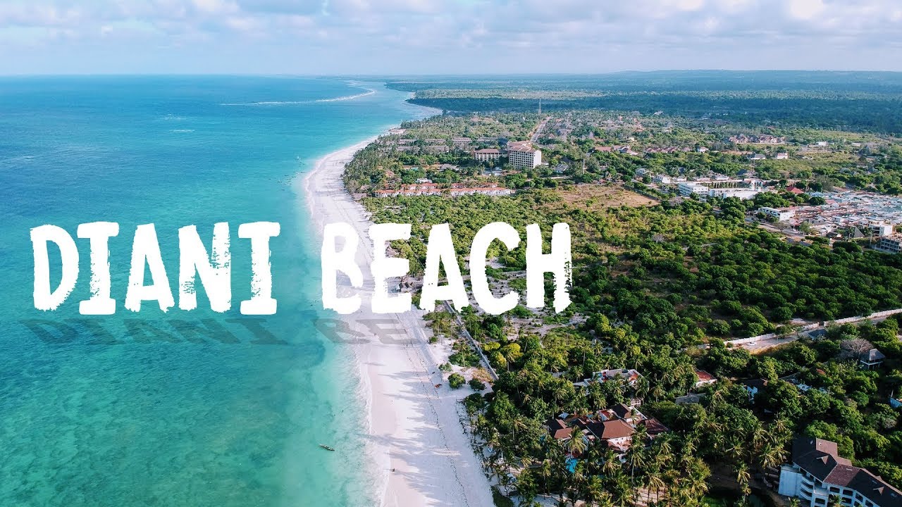 Top Things to do in Diani Beach