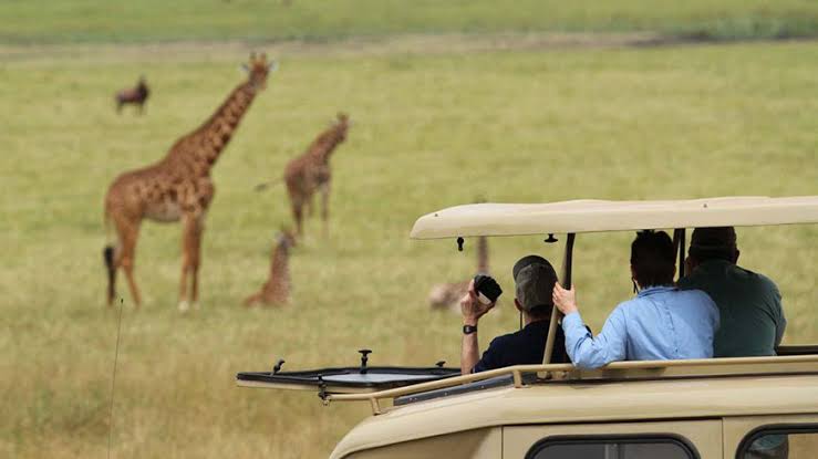 3 Days Akagera National Park Safari