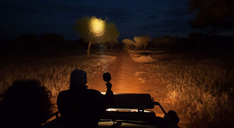 Night Game drives in Tanzania
