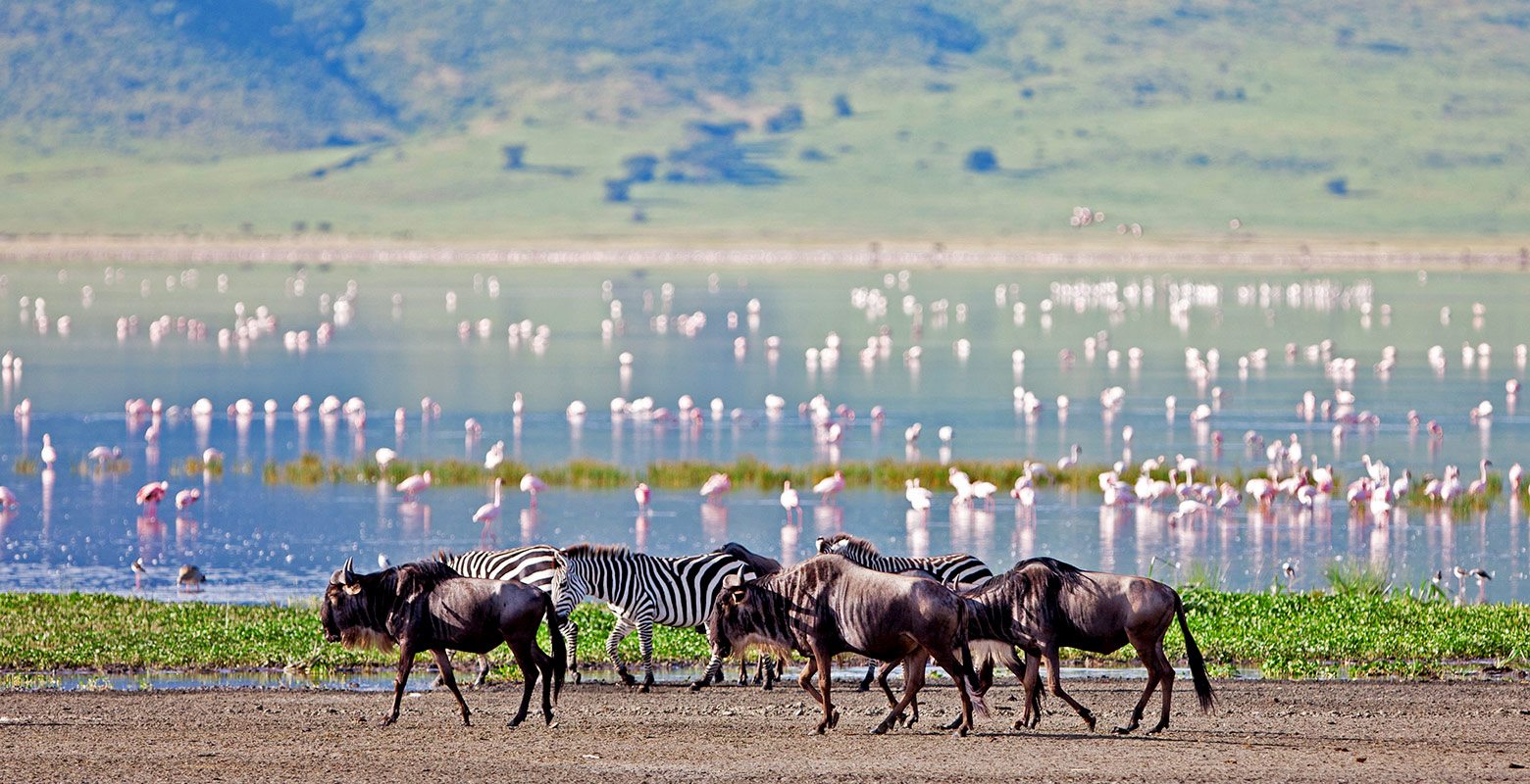 Tourist Attractions at Ngorongoro Conservation Area