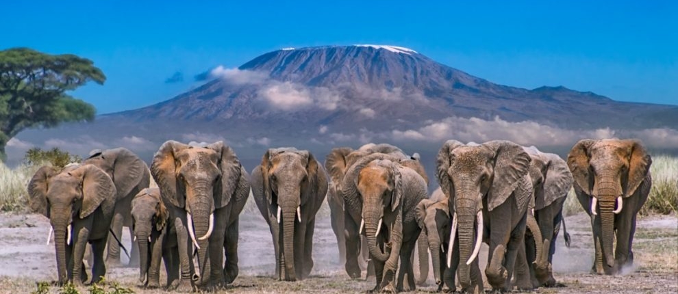 Amboseli National Park Fees 2022