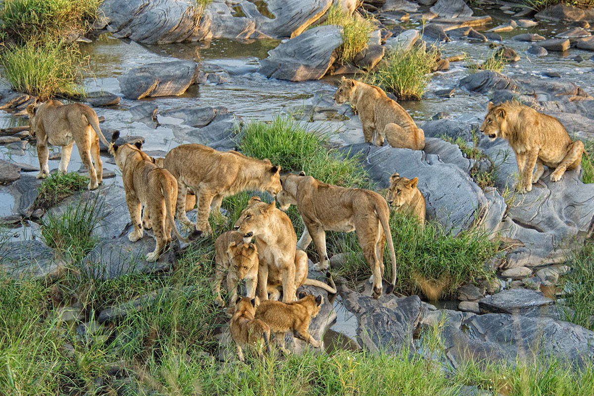 10 Masai Mara National Reserve Visitor Rules