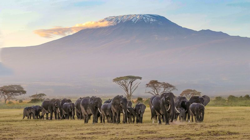 Amboseli National Park Best Time to Visit