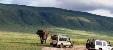 9 Days Tanzania Safari