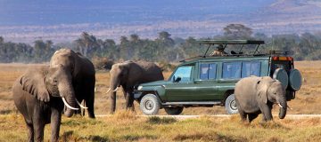 Things to do in Maasai Mara National Reserve