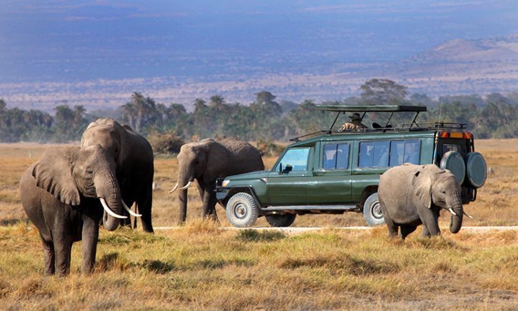 Things to do in Maasai Mara National Reserve