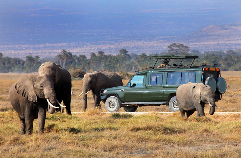 Top Five Best National Parks in Africa