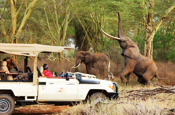Best time to visit Tsavo National Park