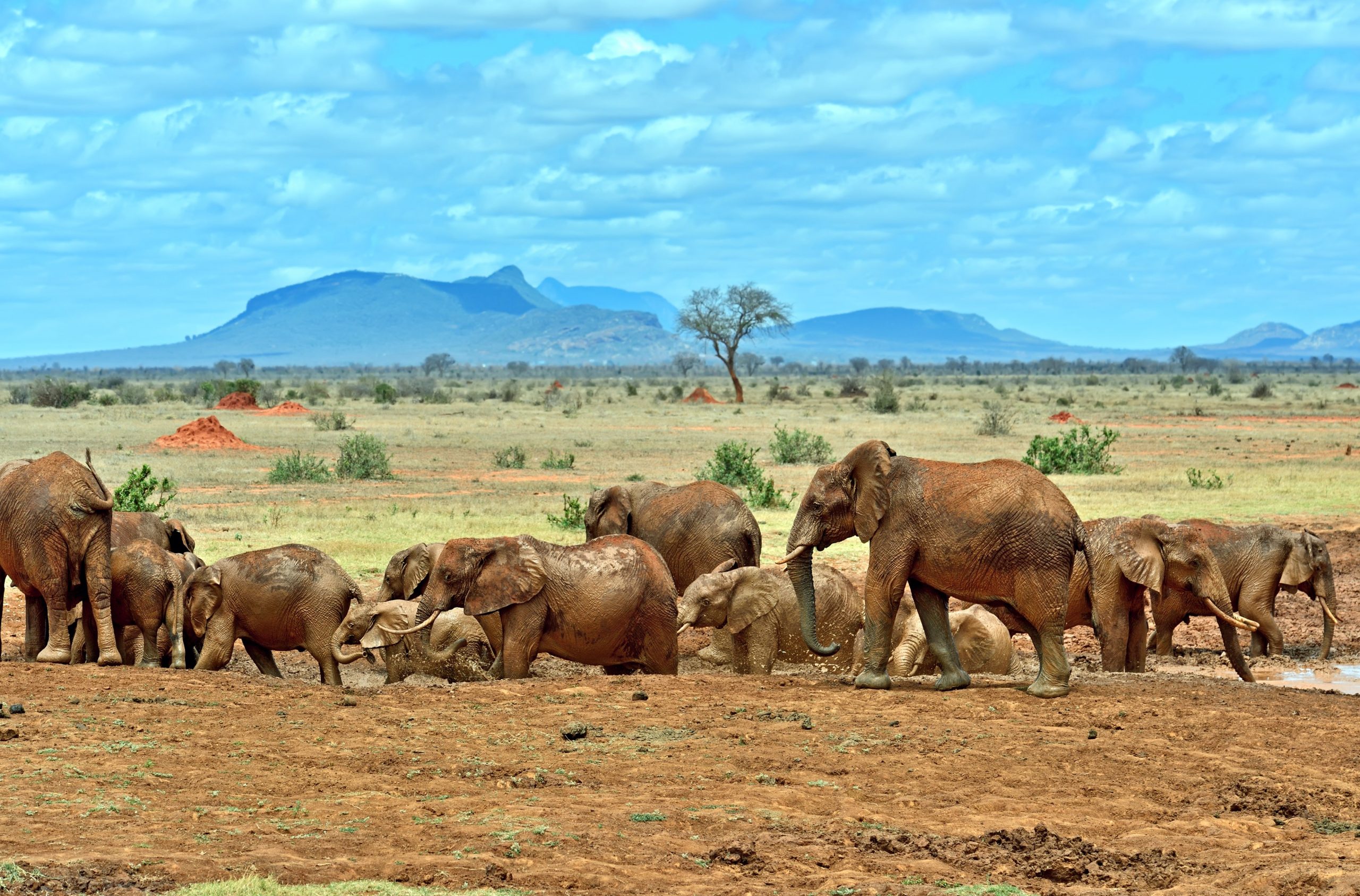 Tsavo National Park Facts