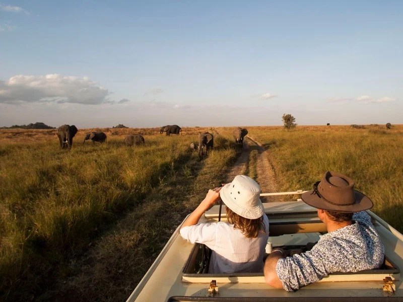Honeymoon Safari in Serengeti National Park 