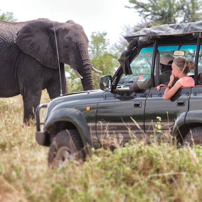 What to Pack for a Serengeti Safari