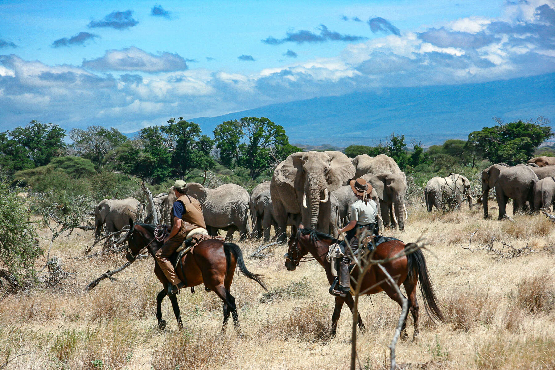 Horseback and Camel Riding Safari in Tanzania