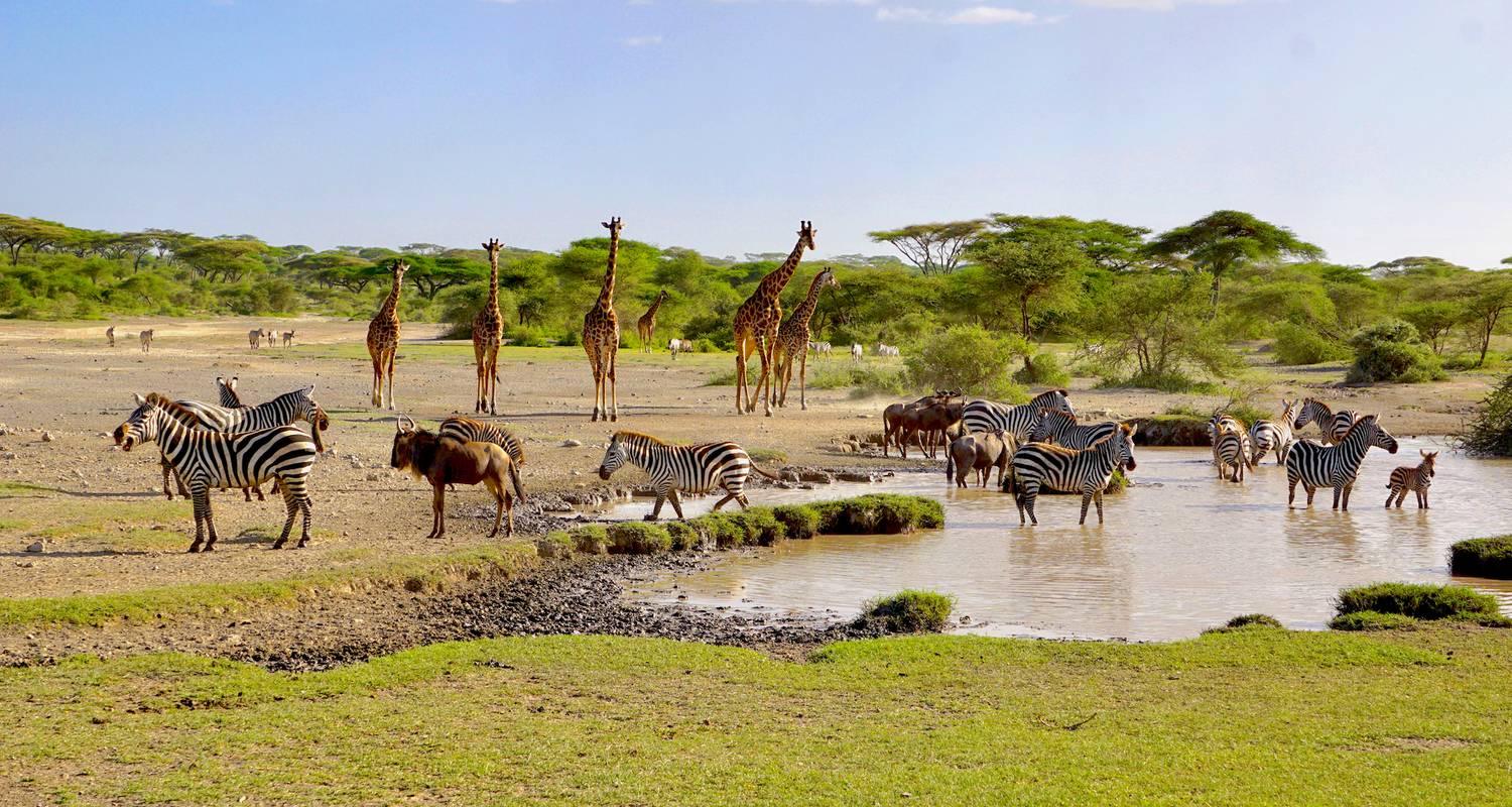 Tanzania honeymoon safari destinations in 2023