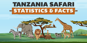 tourism statistics tanzania