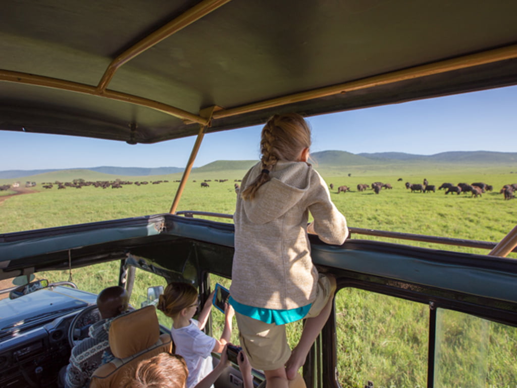 How To Plan An Affordable Safari In Tanzania
