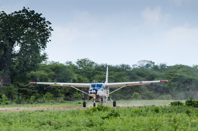 The Ultimate Tanzania Fly-In Safari Experience