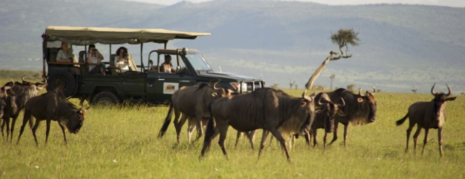 Valentine's Day at Maasai Mara National Park