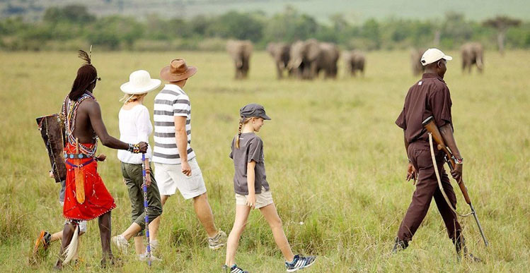 Walking Safari In Africa?
