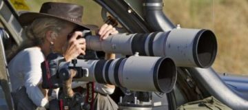 Photographic Safaris In Tanzania