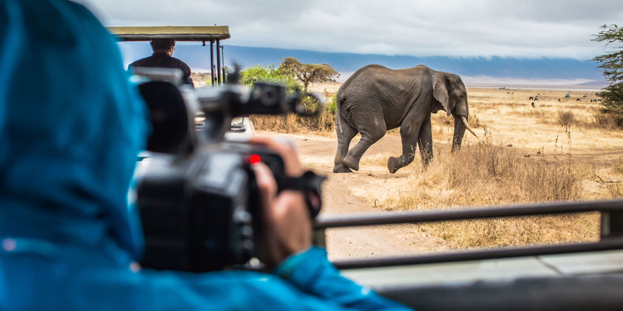The Filmmaker's Safari in Tanzania 