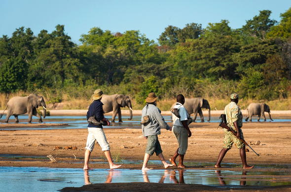 Top 6 Best African Destinations For Safari And Beach Holiday