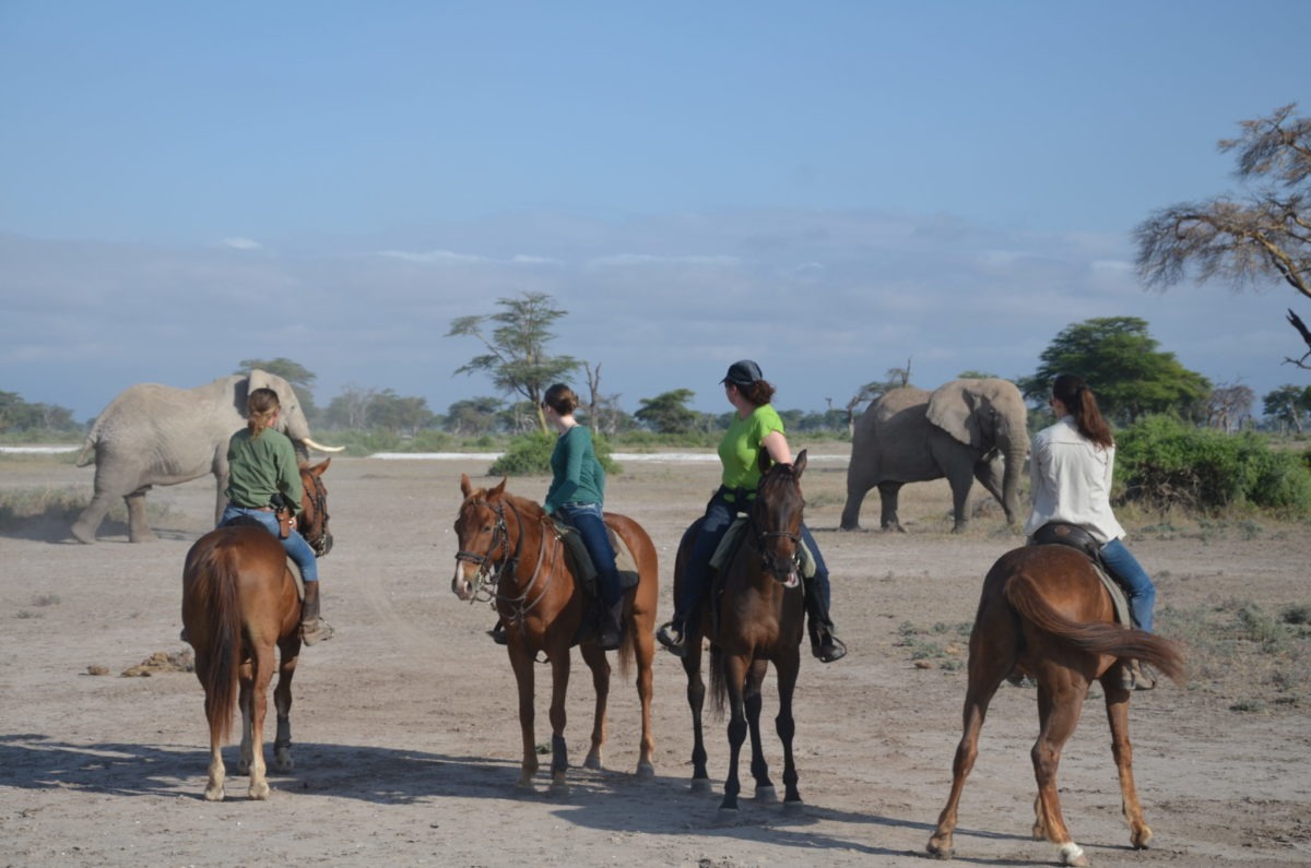 Tanzania Horse Ridding Safari