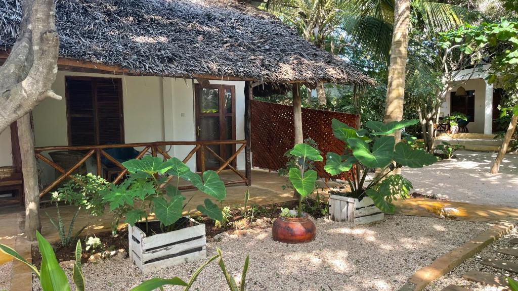 Atii Garden Bungalows’ Zanzibar