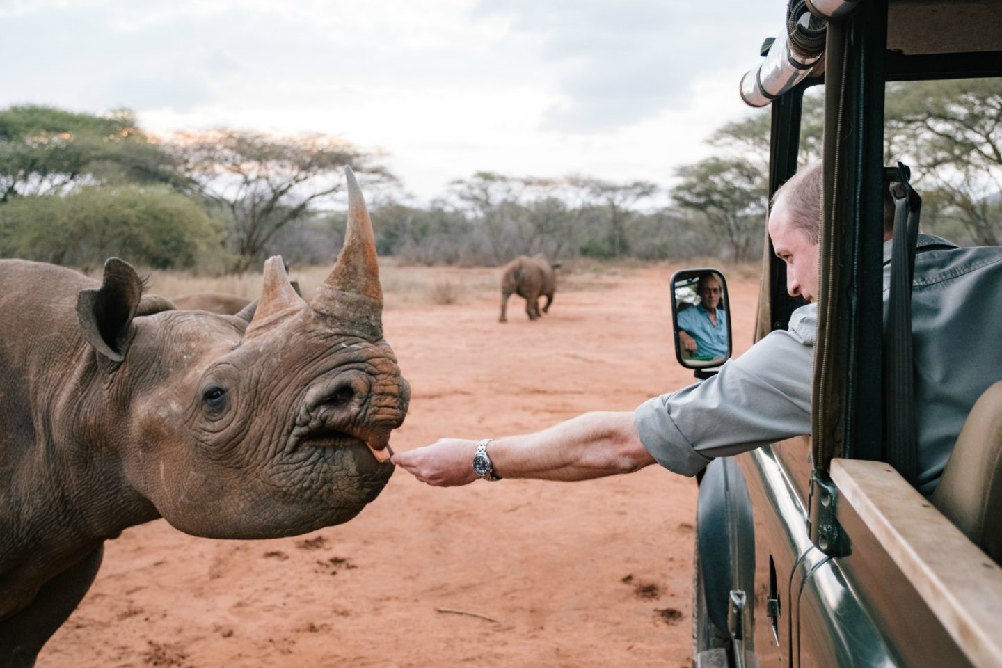 Attractions in Mkomazi National Park Tanzania