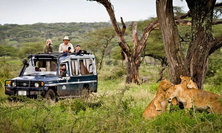 Tourism Activities in Ugalla River National Park