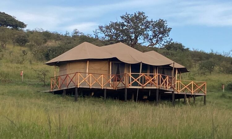 Dancing Duma Luxury Tented Camp