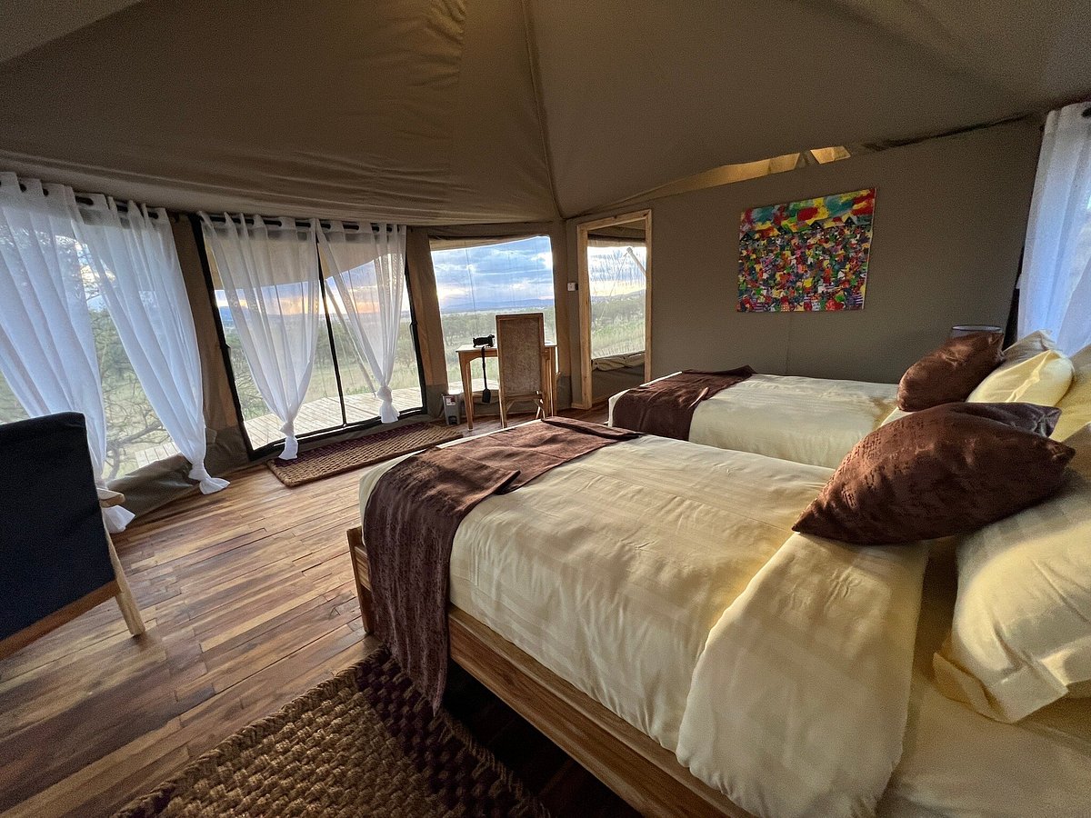 Dancing Duma Luxury Tented Camp