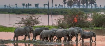 Lukwika-Lumesule Game Reserve