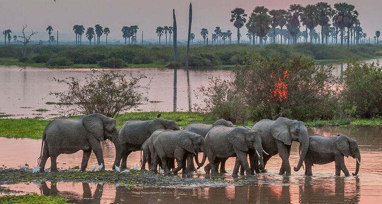 Lukwika-Lumesule Game Reserve