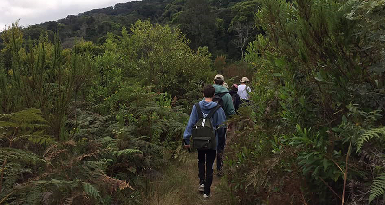 Chome Nature Forest Reserve