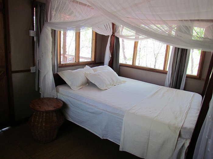 Selous Ndovu Camp