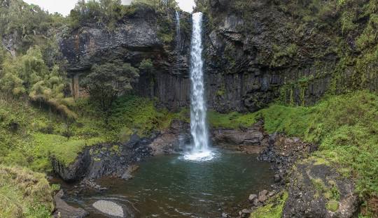  Reasons to visit Aberdare National Park in Kenya