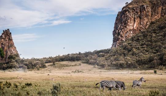 Top Reason For a Safari in Hell's Gate National Park