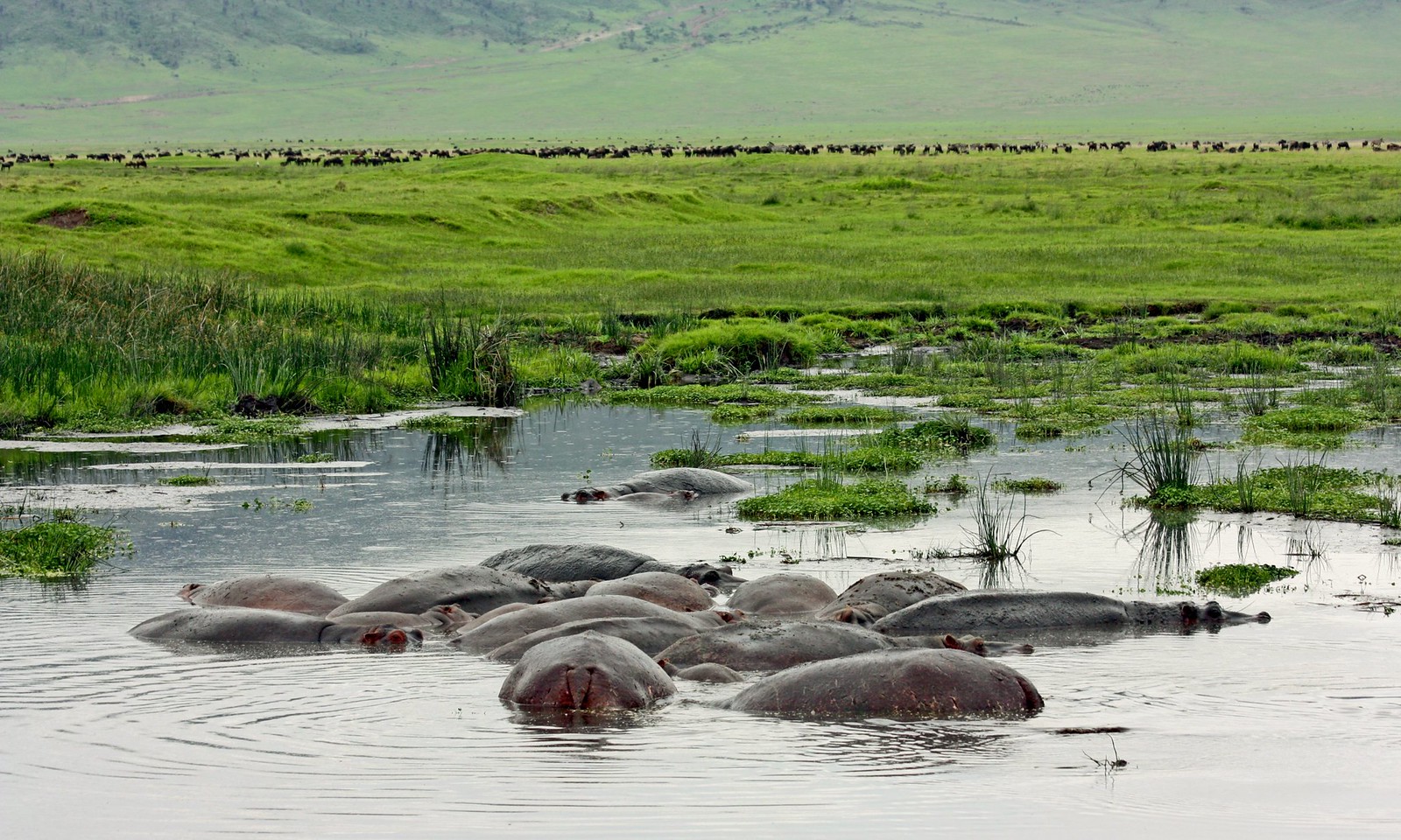 Things to do in Ngorongoro Crater