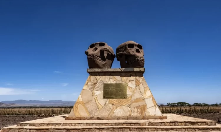 Where is Olduvai Gorge?