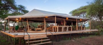 Baobab Central Serengeti Camp