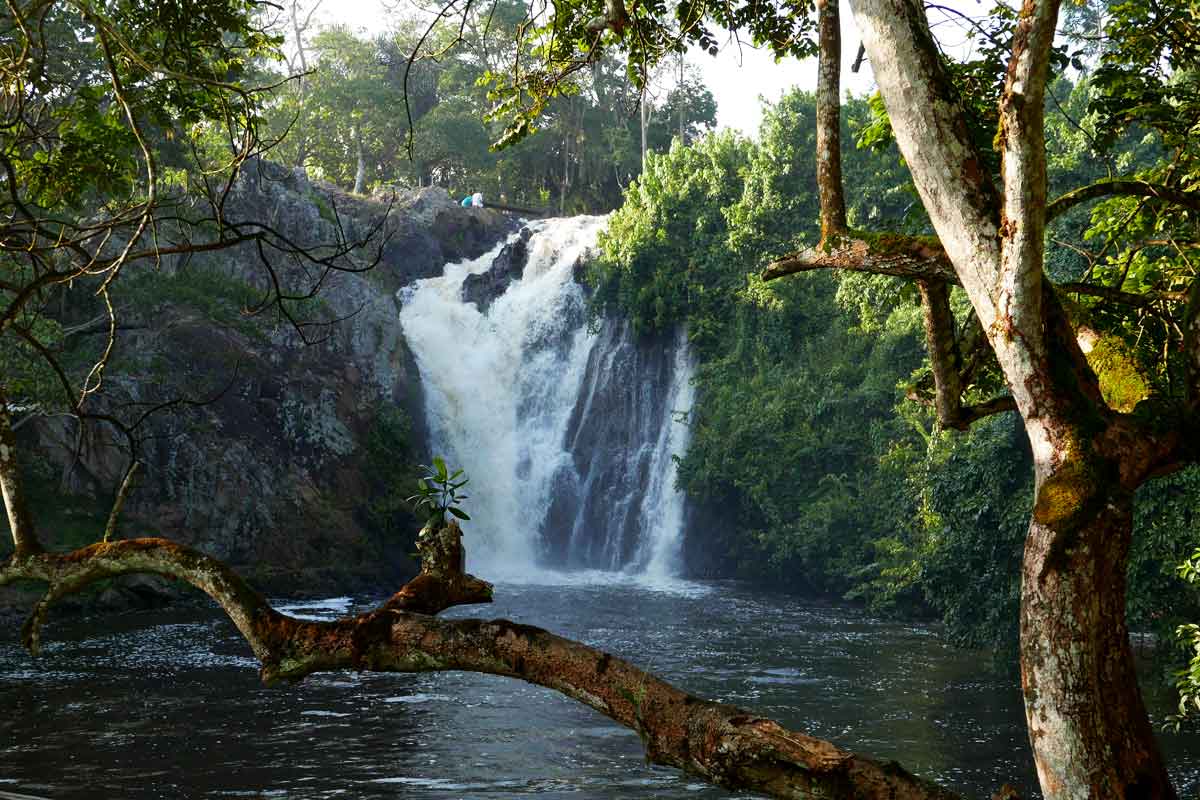 Top things to do in Ssezibwe Fall Uganda