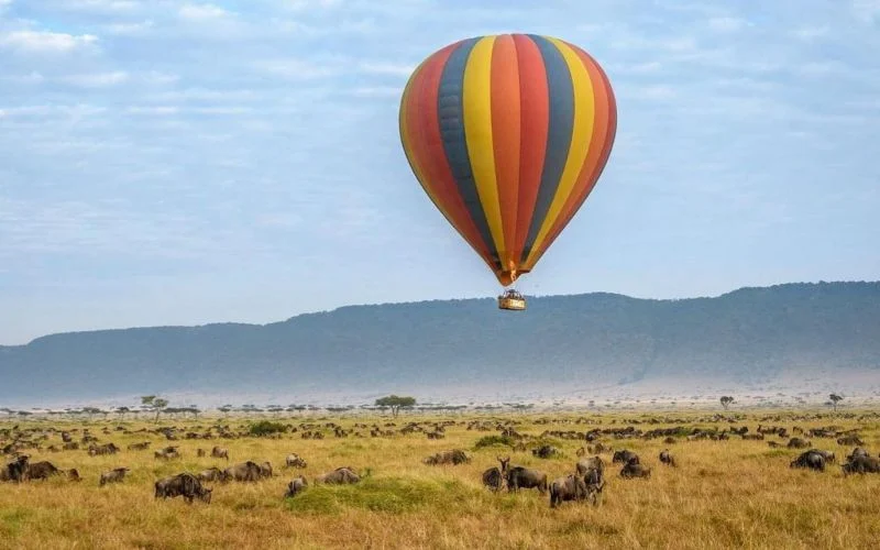 Is a hot air balloon in Masai Mara worth it?